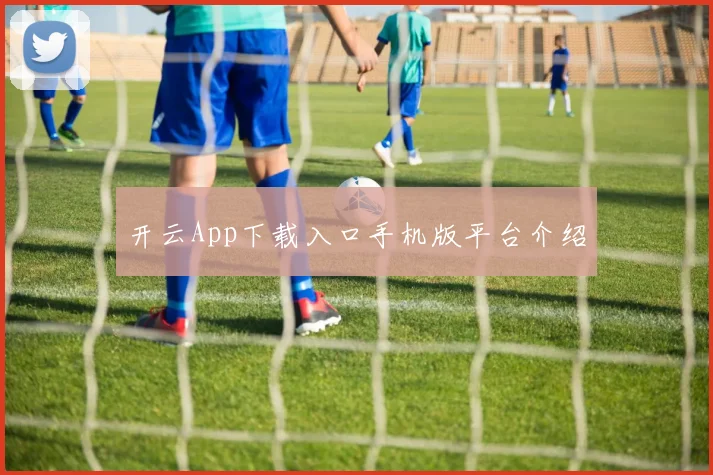 开云App下载入口手机版平台介绍