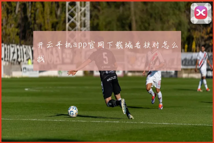 开云手机app官网下载域名核对怎么找